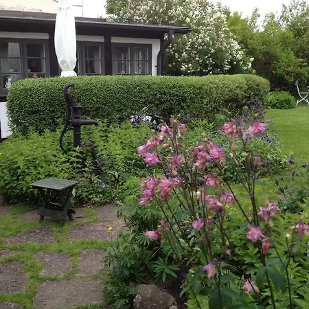 Elins Lycka I Viken Villa Viken  Exterior photo